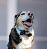 Reuben Scott's Profile Image