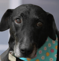 Juno's Profile Image
