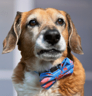 Rollo Charles's Profile Image
